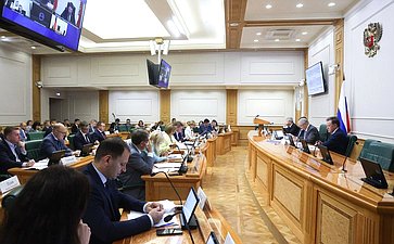 Заседание Комитета Совета Федерации по бюджету и финансовым рынкам