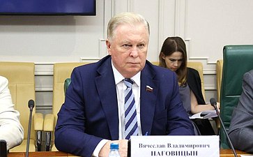 Вячеслав Наговицын