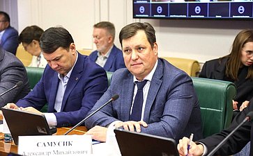 Круглый стол Комитета СФ по конституционному законодательству и государственного строительства «Ответственность за воспрепятствование профессиональной деятельности адвоката как гарантия реализации принципа состязательности и равноправия сторон»