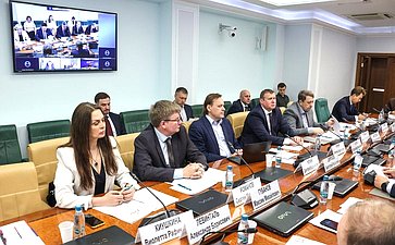 Совещание Комитета Совета Федерации по федеративному устройству, региональной политике, МСУ и делам Севера совместно с АО «Корпорацией развития Дальнего Востока и Арктики»