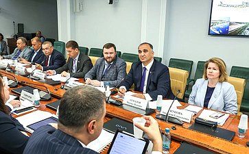 Круглый стол Комитета Совета Федерации по социальной политике совместно с Комитетом Совета Федерации по экономической политике «Создание в России федеральных круглогодичных курортов: реализация федерального проекта «Пять морей и озеро Байкал»»