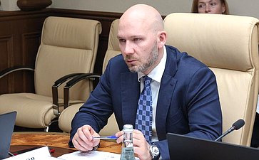 Заседание секции «Цифровые регионы: лучшие практики и стратегии развития» (фото пресс-служба Совета Федерации)