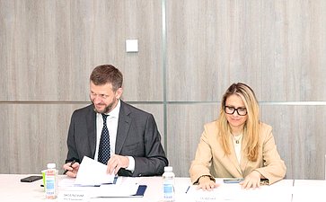 Заседание рабочей группы «Социальные проекты» Экспертного совета Агентства стратегических инициатив