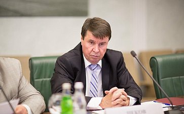 20-05 С. Цеков Заседание Временной комиссии СФ по мониторингу ситуации на Украине 8