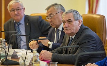 В. Штыров Заседание Комитета СФ по обороне и безопасности