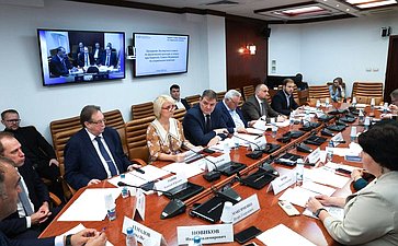 Заседание Экспертного совета по физической культуре и спорту при Комитете Совета Федерации по социальной политике