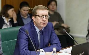 А. Майоров Заседание Комитета Совета Федерации по экономической политике
