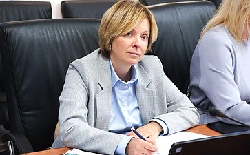 Совещание Комитета СФ по экономической политике «Снижение уровня износа инженерной инфраструктуры. Меры по привлечению инвестиций в сферу теплоснабжения»