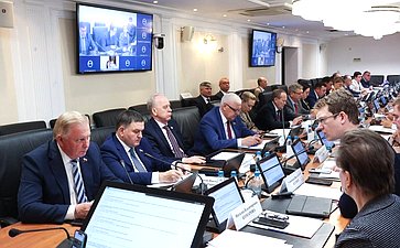Круглый стол Комитета СФ по Регламенту и организации парламентской деятельности совместно с Комитетом СФ по экономической политике «Совершенствование законодательства Российской Федерации о государственном контроле (надзоре), муниципальном контроле»