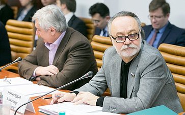 А. Тотоонов на заседании Комитета СФ по международным делам