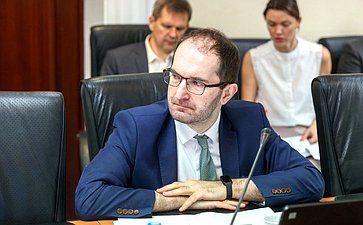 Заседание Комитета Совета Федерации по Регламенту и организации парламентской деятельности
