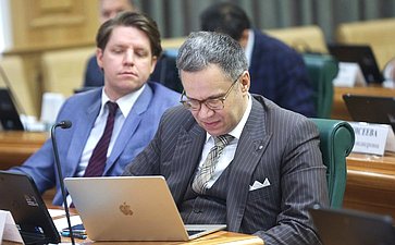 Заседание экспертно-консультативного совета при Комитете Совета Федерации по конституционному законодательству и государственному строительству