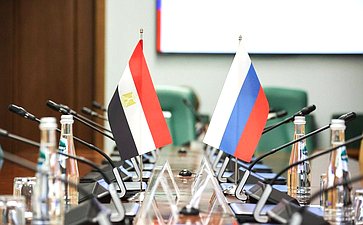 Встреча председателя Комитета Совета Федерации по международным делам Григория Карасина с Чрезвычайным и Полномочным Послом Арабской Республики Египет в РФ Назихом Эльнаггари