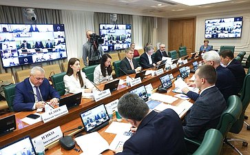 Круглый стол комитета Совета Федерации по экономической политике на тему «Вопросы восстановления и наращивания трансграничных и межрегиональных грузовых и пассажирских перевозок по реке Амур»