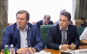 В Совете Федерации состоялось заседание Комитета общественной поддержки жителей Юго-Востока Украины-13