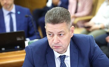Заседание Комитета Совета Федерации по бюджету и финансовым рынкам