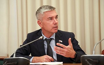 Сенаторы обсудили успешные практики и предложения по развитию НКО