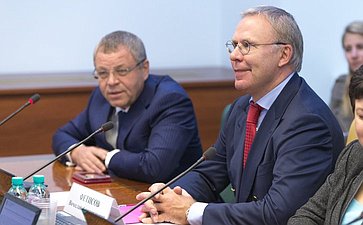 В. Фетисов Заседание Комитета Совета Федерации по социальной политике