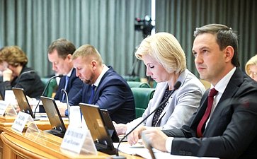 Заседание Совета по вопросам интеграции воссоединенных субъектов Российской Федерации в правовую и социально-экономическую системы РФ