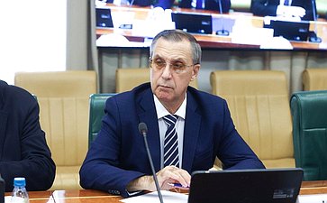 Круглый стол Комитета Совета Федерации по экономической политике «О мерах по увеличению протяженности приведенных в нормативное состояние мостов и путепроводов»