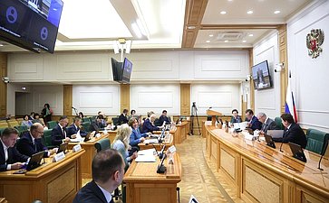 Заседание Комитета Совета Федерации по бюджету и финансовым рынкам