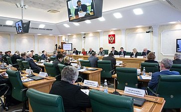 Заседание Совета по местному самоуправлению при верхней палате парламента