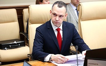 Круглый стол Комитета Совета Федерации по экономической политике «Применение беспилотных летательных аппаратов для фиксации нарушения правил дорожного движения»