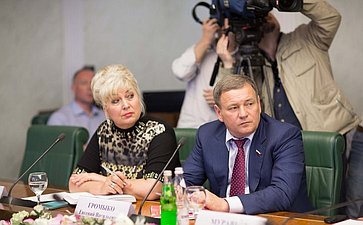 20-05 Заседание Временной комиссии СФ по мониторингу ситуации на Украине 6