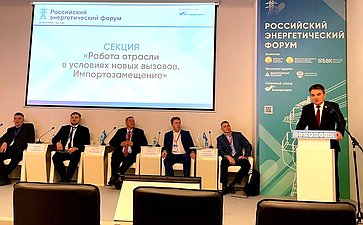 Ирек Ялалов принял участие в Российском энергетическом форуме