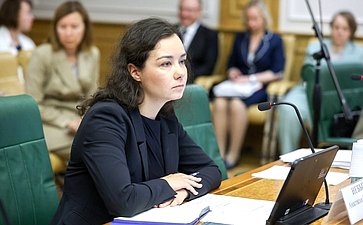 Заседание Комитета Совета Федерации по конституционному законодательству и государственному строительству