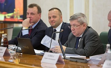 А. Торшин Заседание Комитета Совета Федерации по конституционному законодательству и государственному строительству