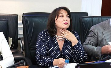 Совещание Комитета СФ по экономической политике «Снижение уровня износа инженерной инфраструктуры. Меры по привлечению инвестиций в сферу теплоснабжения»