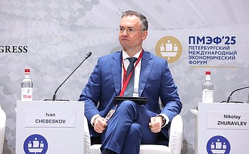 XXVIII Петербургский международный экономический форум (ПМЭФ’25). «Программа долгосрочных сбережений – драйвер развития российской экономики и улучшения благосостояния граждан»
