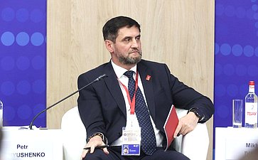 XXVIII Петербургский международный экономический форум (ПМЭФ’25). «Инвестиции в электроэнергетике на горизонте до 2050 года»