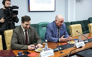 Встреча председателя Комитета СФ по международным делам Григория Карасина с председателем Международного движения русофилов (Болгария)