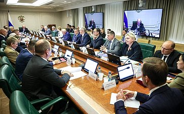 Заседание Комитета Совета Федерации по международным делам