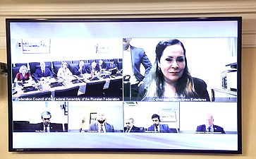 Встреча группы по сотрудничеству Совета Федерации с парламентами стран Латинской Америки и группы дружбы с Россией Палаты сенаторов Национального конгресса Республики Парагвай