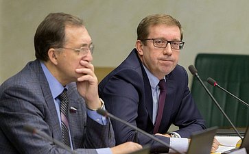 А. Майоров Заседание Комитета Совета Федерации по экономической политике