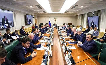 Заседание Комитета Совета Федерации по экономической политике