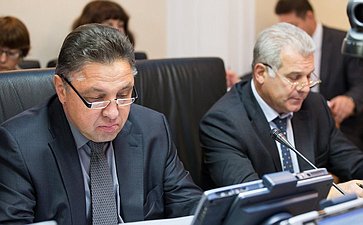 В. Тимченко Заседание Комитета СФ по Регламенту и организации парламентской деятельности