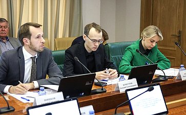 Круглый стол Комитета СФ по международным делам