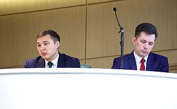 594-е заседание Совета Федерации
