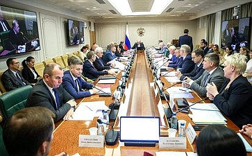 Заседание Комитета Совета Федерации по международным делам