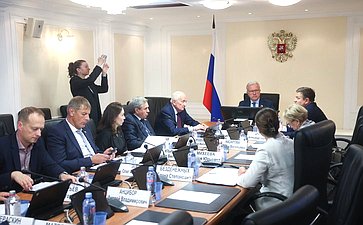 Рабочее совещание Совета по вопросам развития Сибири при Председателе Совета Федерации на тему «Действующие механизмы социального инвестирования в России: проблемы и пути их решения»