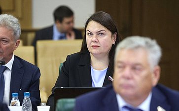 Расширенное заседание Комитета СФ по федеративному устройству, региональной политике, местному самоуправлению и делам Севера (в рамках Дней Тульской области в Совете Федерации)