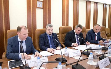Заседание рабочей группы по совершенствованию правового регулирования вопросов регистрации границ между субъектами Российской Федерации