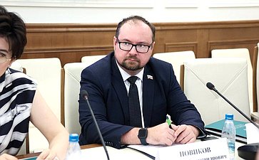 Заседание Совета Палаты молодых законодателей при СФ