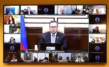 Круглый стол Комитета Совета Федерации по экономической политике «Применение беспилотных летательных аппаратов для фиксации нарушения правил дорожного движения»