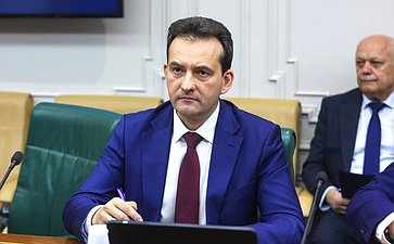 Совещание Комитета СФ по экономической политике «Стимулирование внутреннего спроса на российские товары и поддержки отечественных производителей»