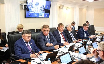 Заседание Комитета Совета Федерации по Регламенту и организации парламентской деятельности